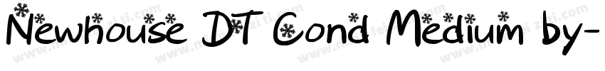 Newhouse DT Cond Medium by字体转换